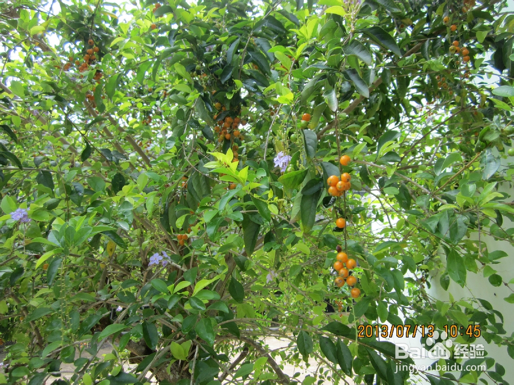 带你穷游海南的美景,县城的风情