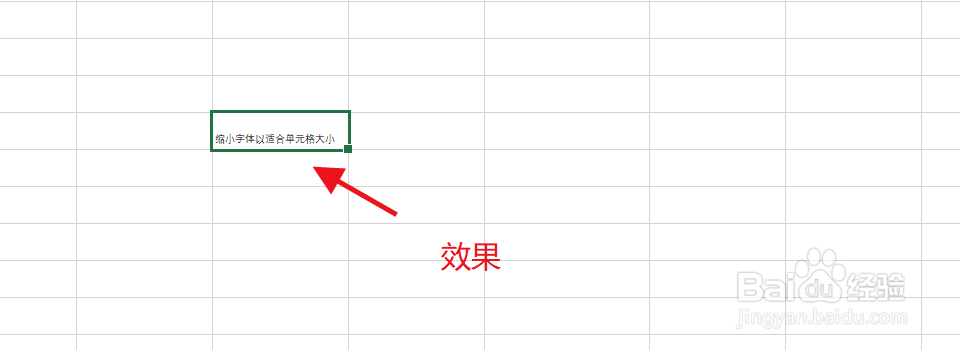在excel中怎么设置字体大小适应单元格大小