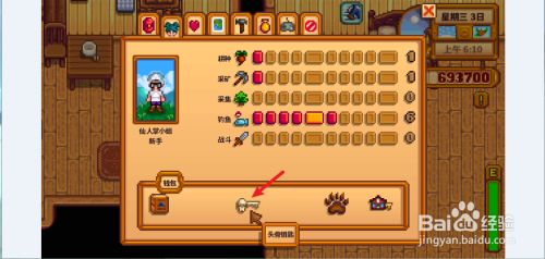 星露谷沙漠矿洞怎么玩