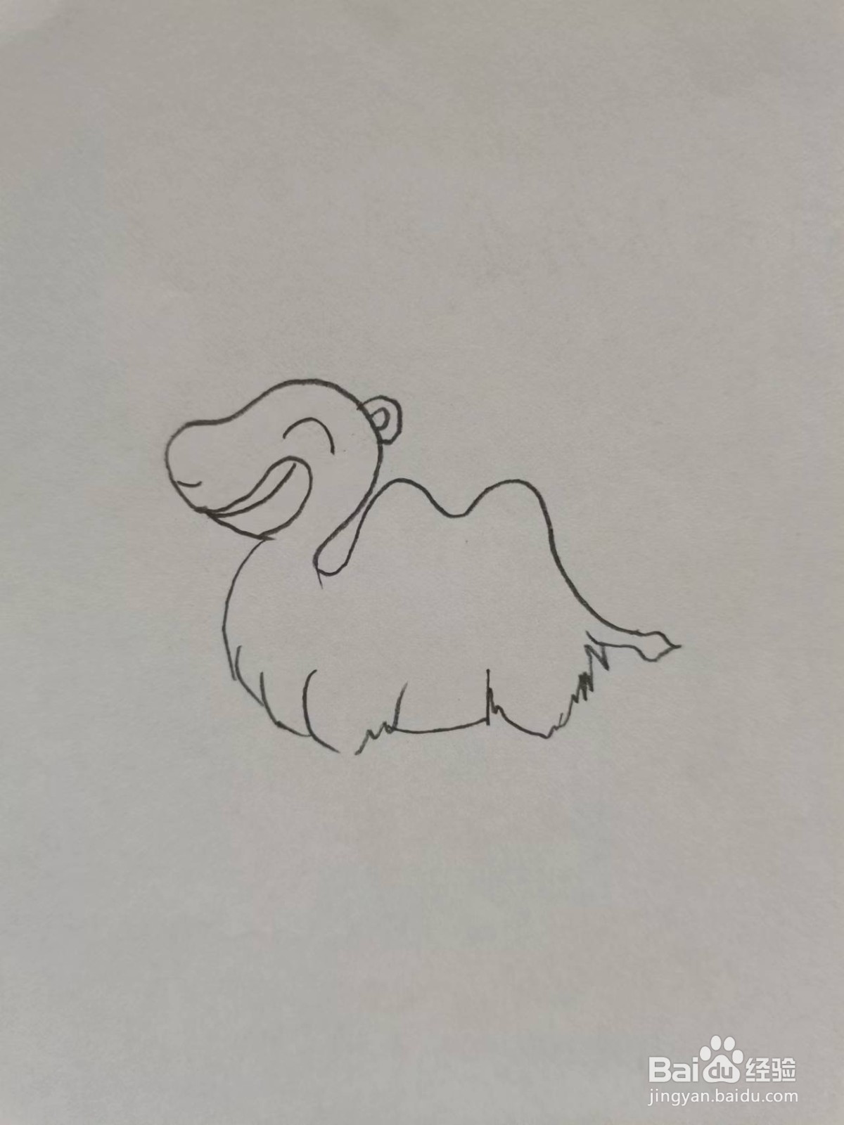 铅笔画沙漠骆驼