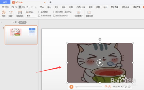 wps插入视频 全网资源