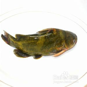 什么样的食物能够让你的孩子长高