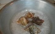 海螺怎么做？