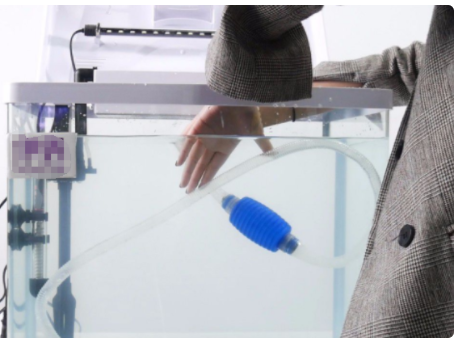 鱼缸怎么开缸养水