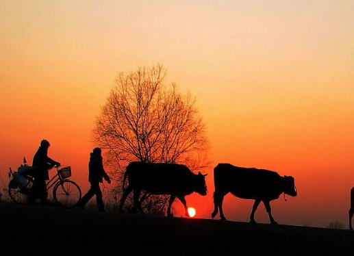 适合朗诵的小众散文有哪些