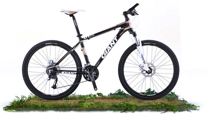 捷安特山地车注册后可以转让吗