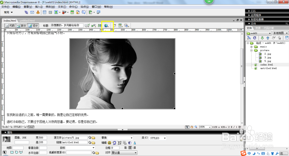 网页设计之新手入门