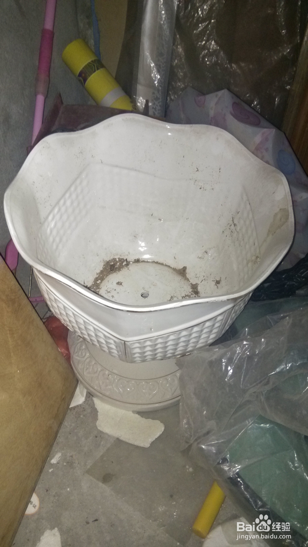 如何利用废弃的小花盆给家里添加盆栽
