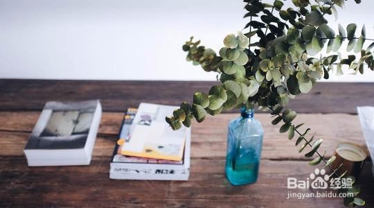 刻意练习:如何成为所在行业的高手?