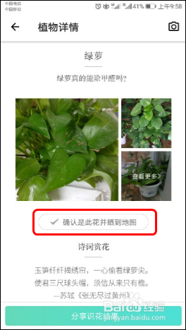 使用识花APP【形色】识别各种植物、花草、果蔬