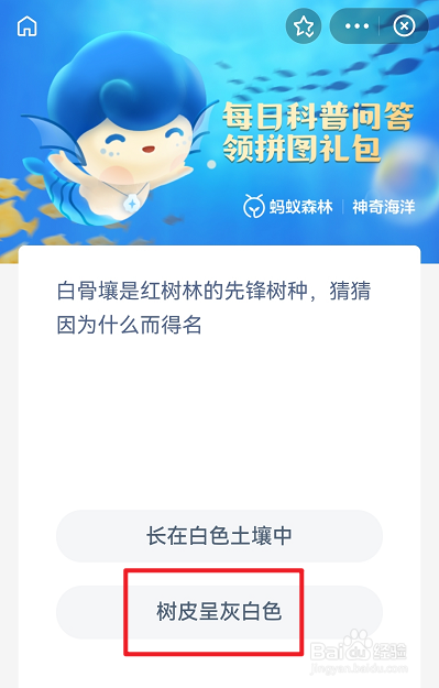 蚂蚁森林神奇海洋11月22日答案最新