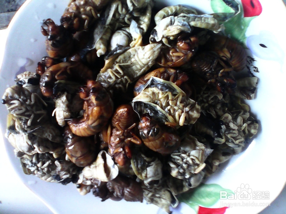 农家小院油炸知了猴美味可口