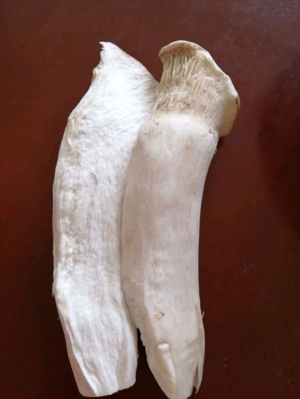 手撕杏鲍菇炒肉丝