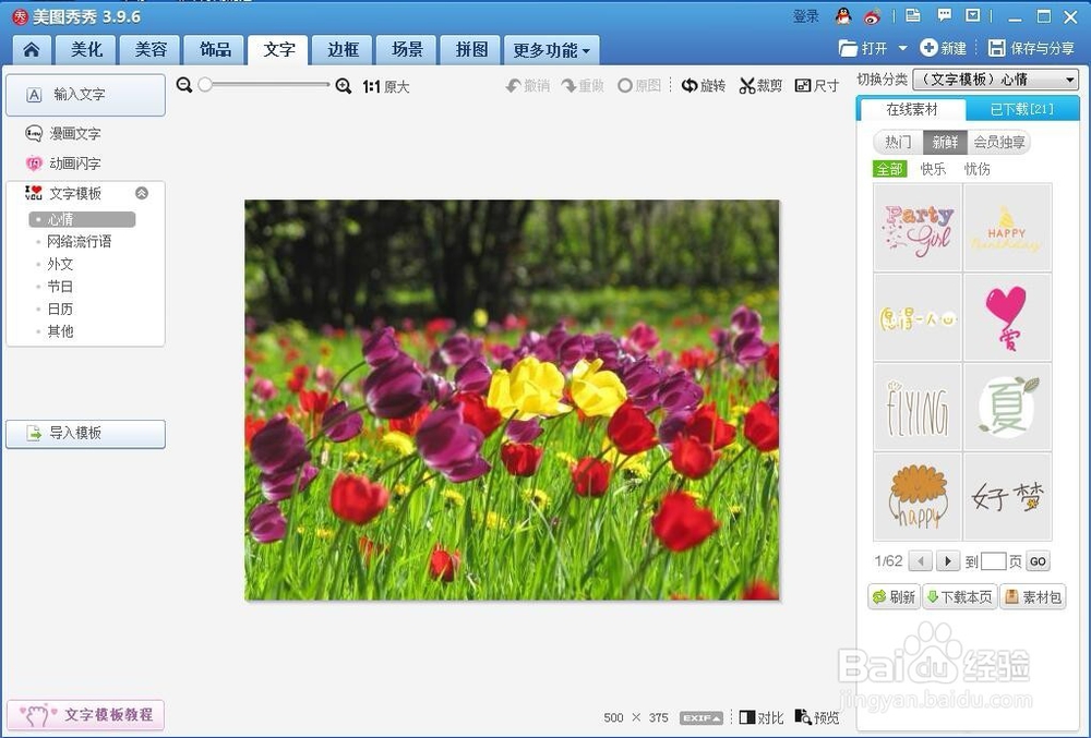 怎样给图片添加上文字