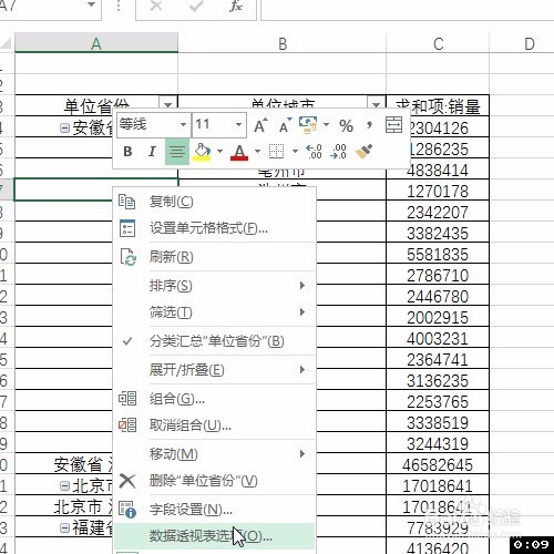 Excel数据透视表常用技巧：刷新后列宽不变