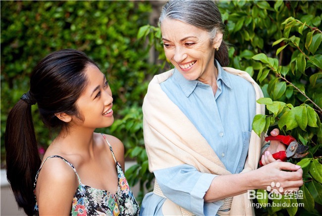 该不该把父母送进养老院