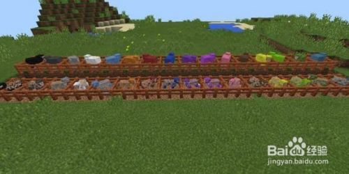 Minecraft如何给羊染色 百度经验 Minecraft如何给羊染色 百度经验