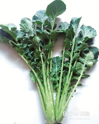 如何有效的养护秀发