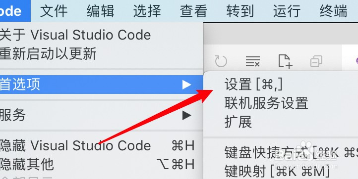 mac vscode怎么关闭参数提示功能