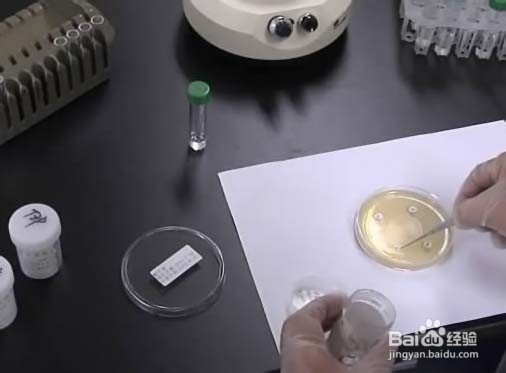 怎样规划养殖场兽医化验室