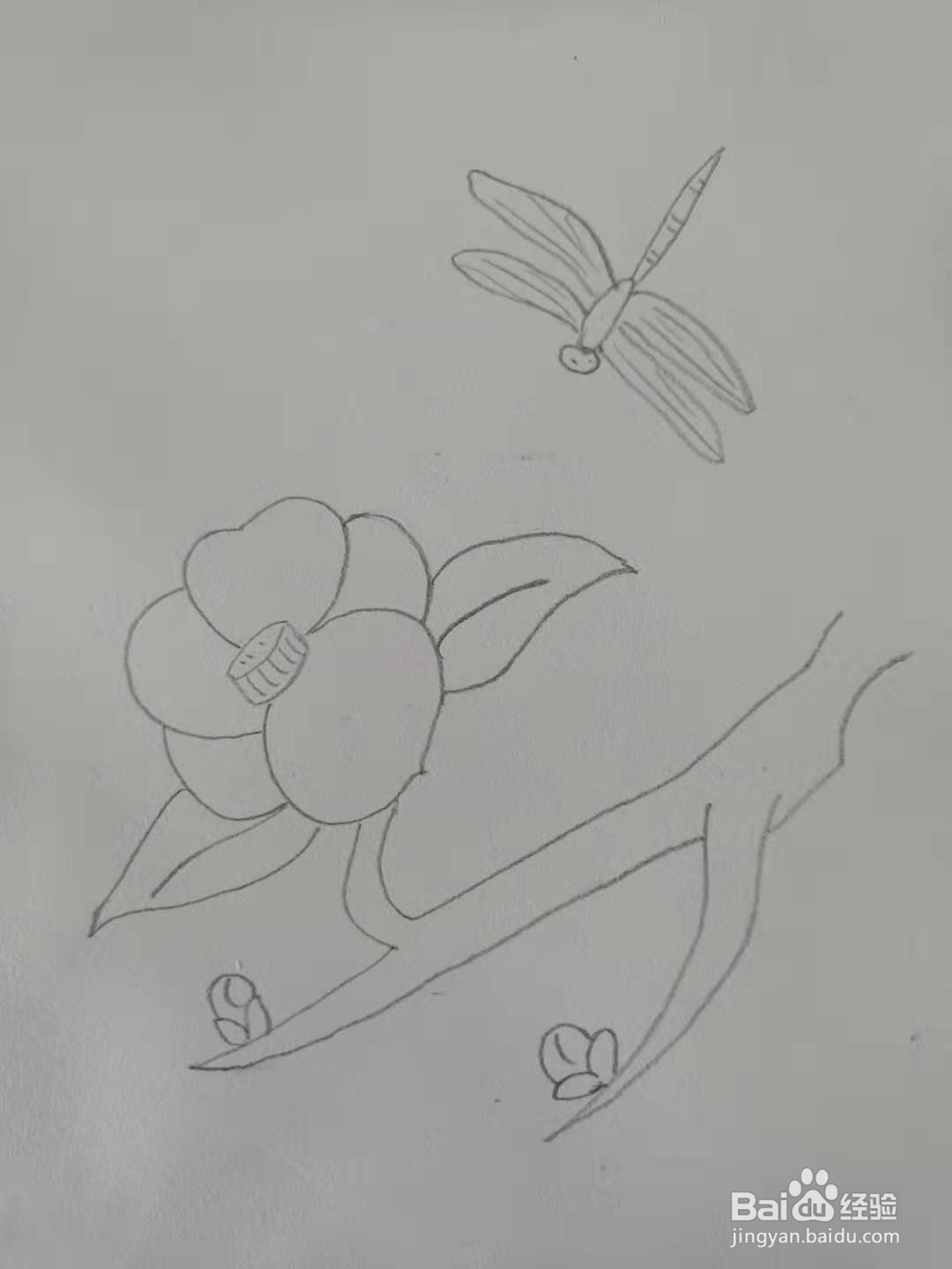 如何画梅花简笔画？