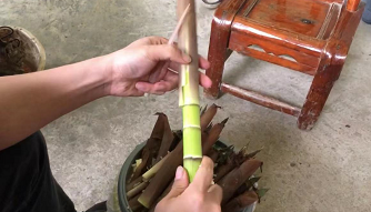 野笋怎么保存长久