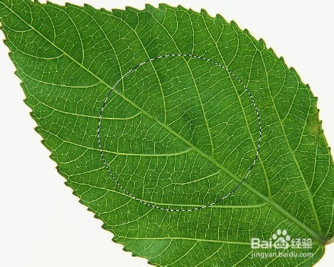 ps制作水滴效果图