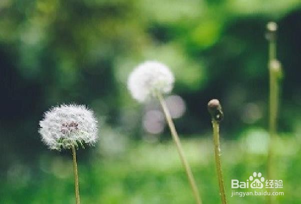 如何让食盐发挥更大的作用(2)