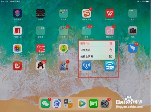 ipad软件一打开就闪退怎么办？