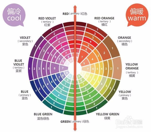 如何辨别人的肤色的冷暖