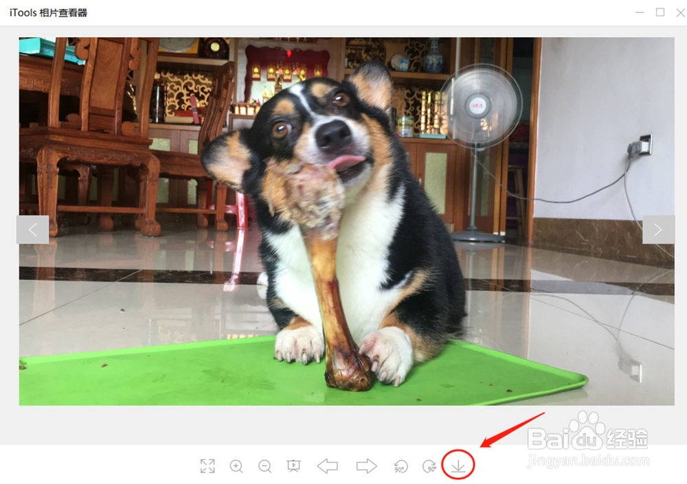接上iphone我的电脑里看不到照片怎么办