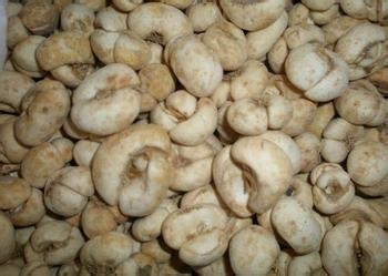 治疗慢性咽炎的中医有方