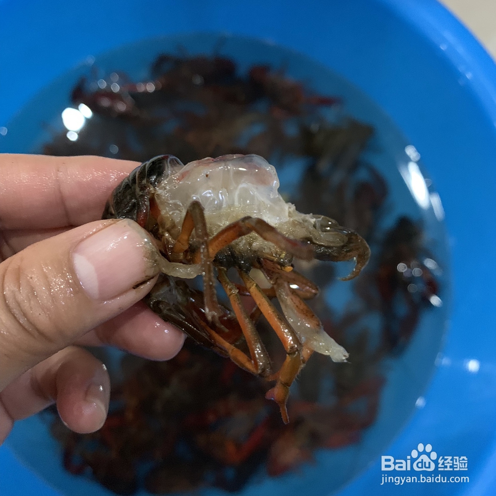 味美鲜香的蒜香小龙虾