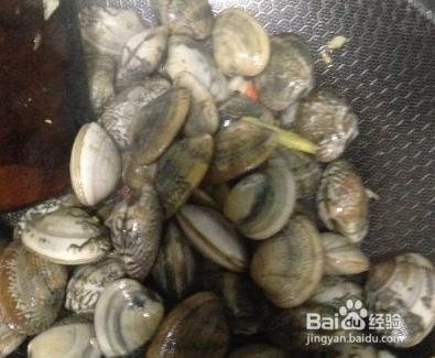 花蛤的做法步骤