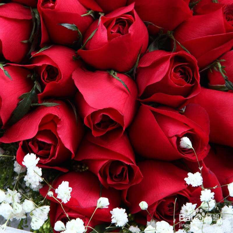 特别受欢迎的鲜花有哪些