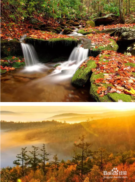 秋季如何拍出好照片？看完这篇文章你就全懂了！