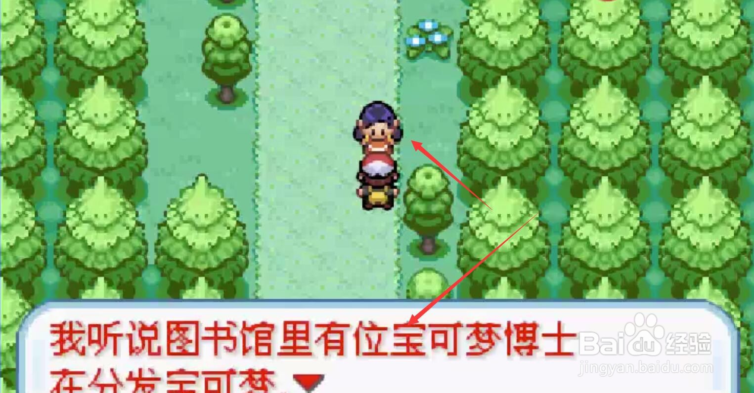 口袋妖怪盖亚攻略