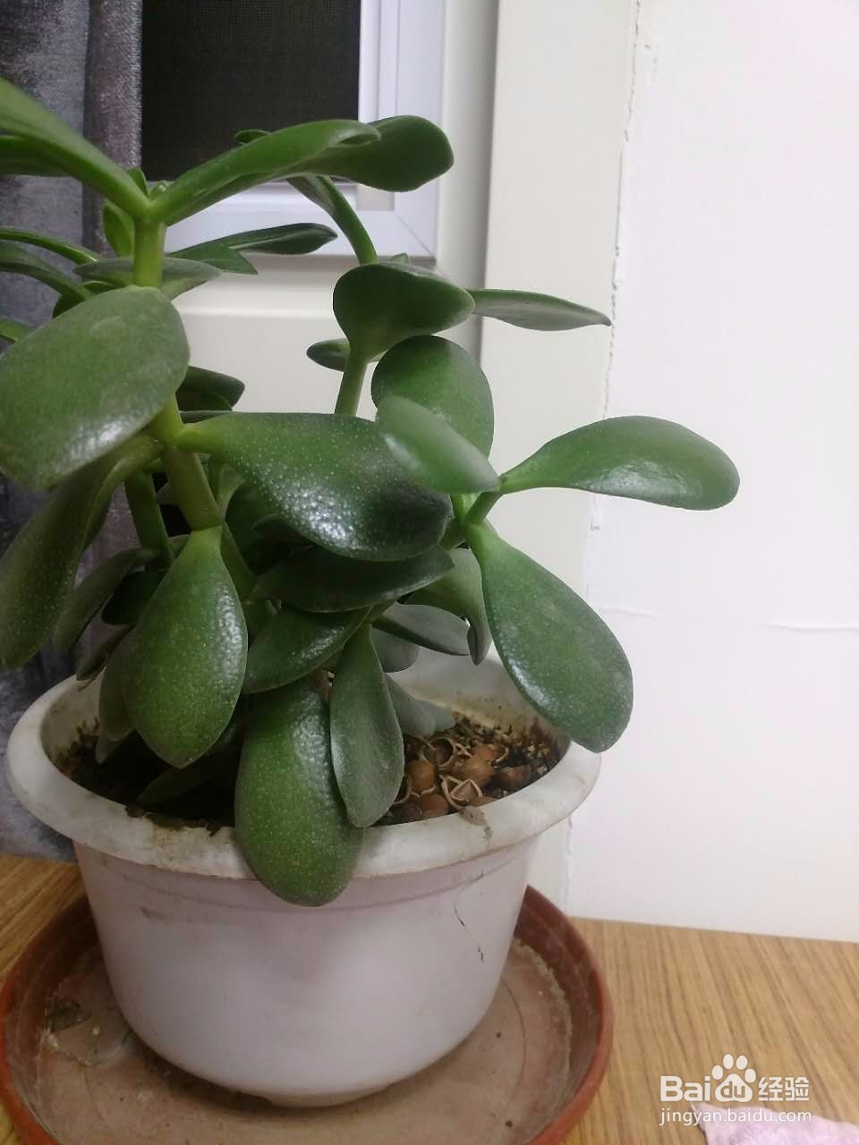 心情不好了，如何排解？