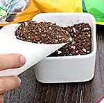 多肉如何种植-新手篇