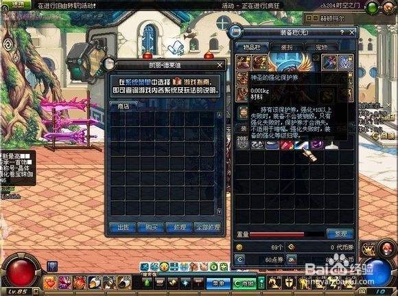 神圣的强化保护卷有什么用