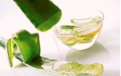 芦荟汁的功效与作用