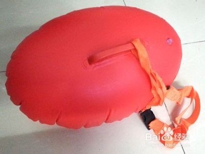 给初学游泳者的几个建议