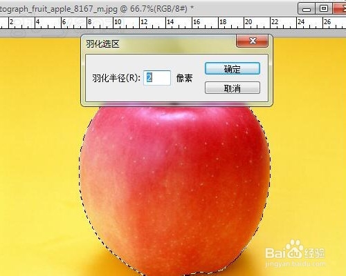 Photoshop入门教程之PS快速选择工具及复制图层
