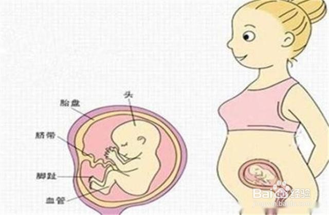 男孩胎动真的比女孩早吗有什么区别