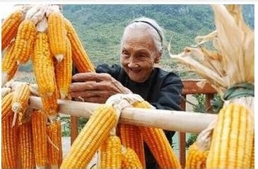 老年人的长寿要诀