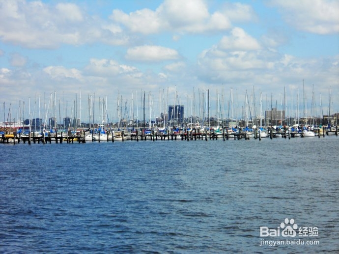 澳洲游记：[22]墨城林荫大道