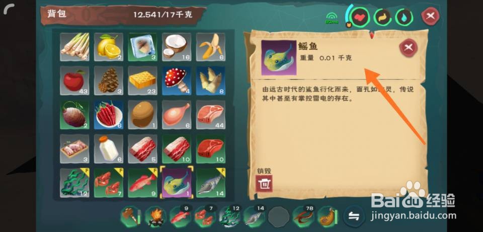 创造与魔法鳐鱼在哪里钓