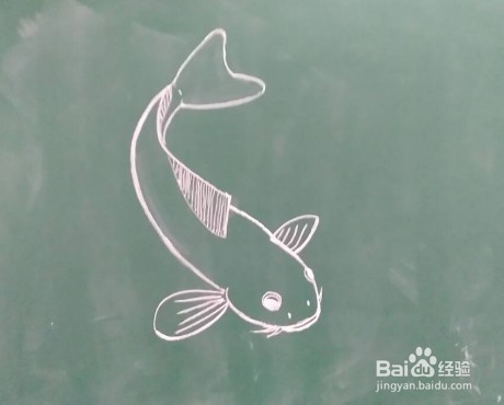 鱼的画法教程(11)怎么画,如何画鱼画鱼方法