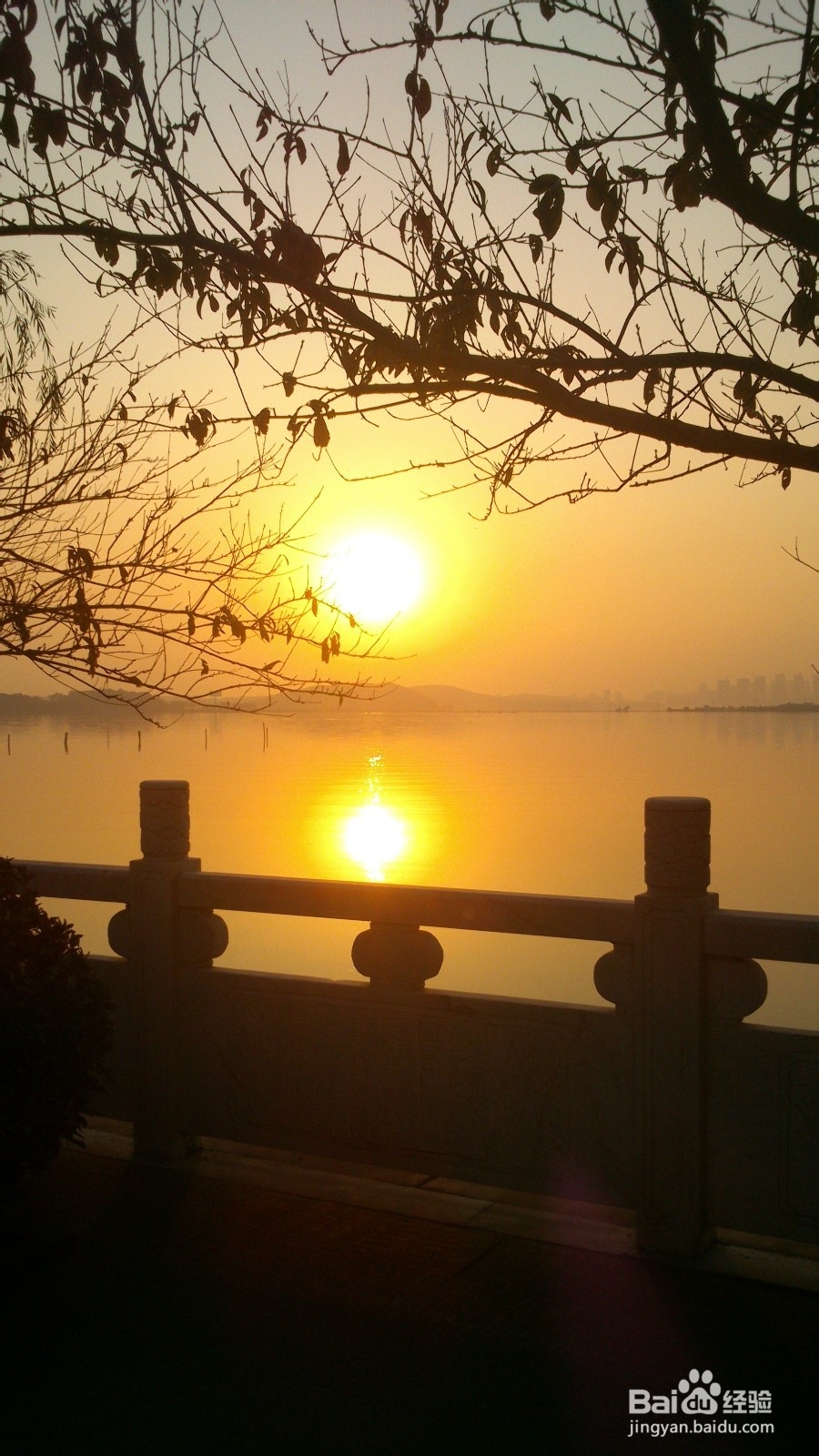 武汉——大学生生活指南——综述：大学