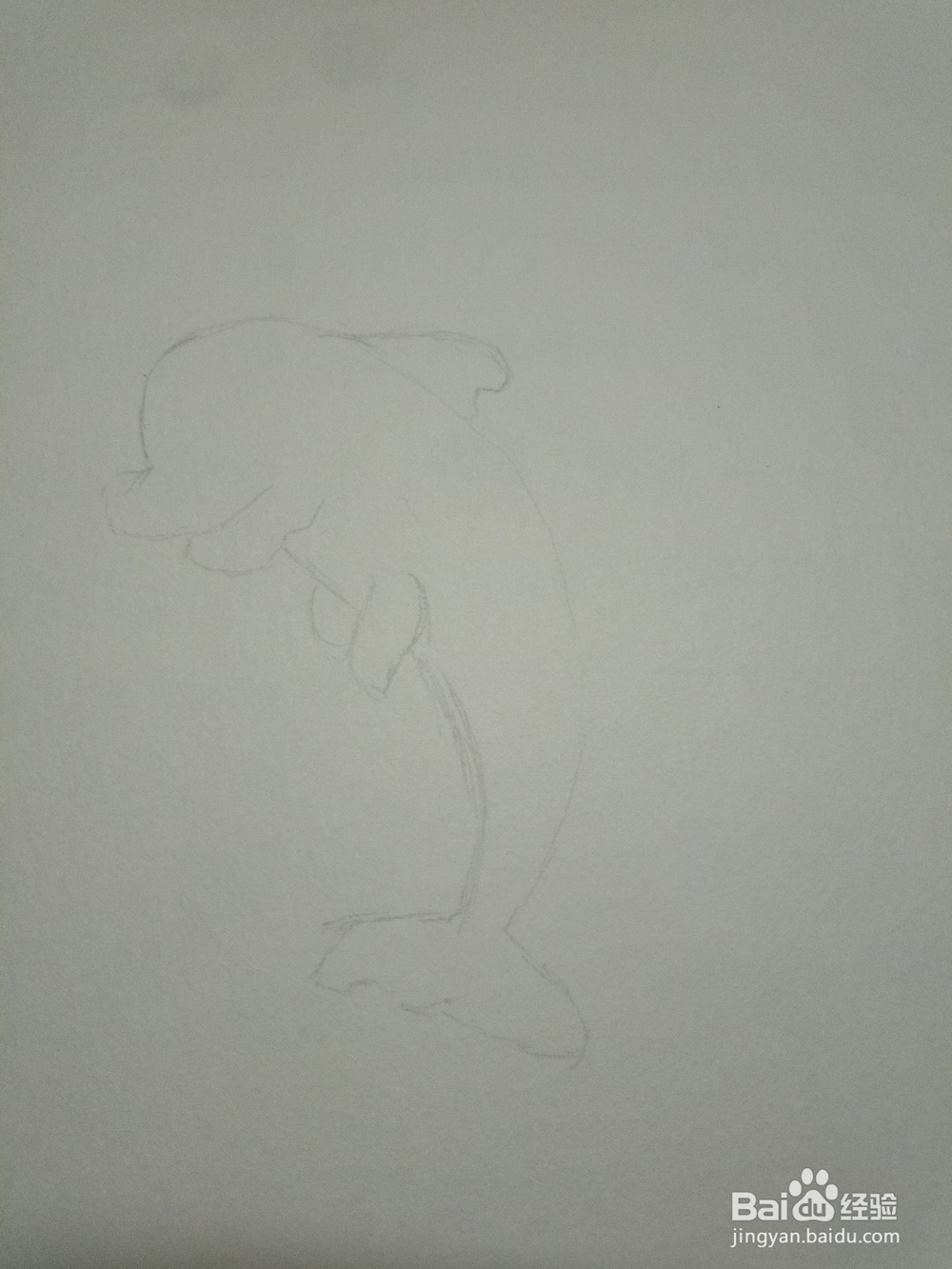 怎么画简笔画之海豚